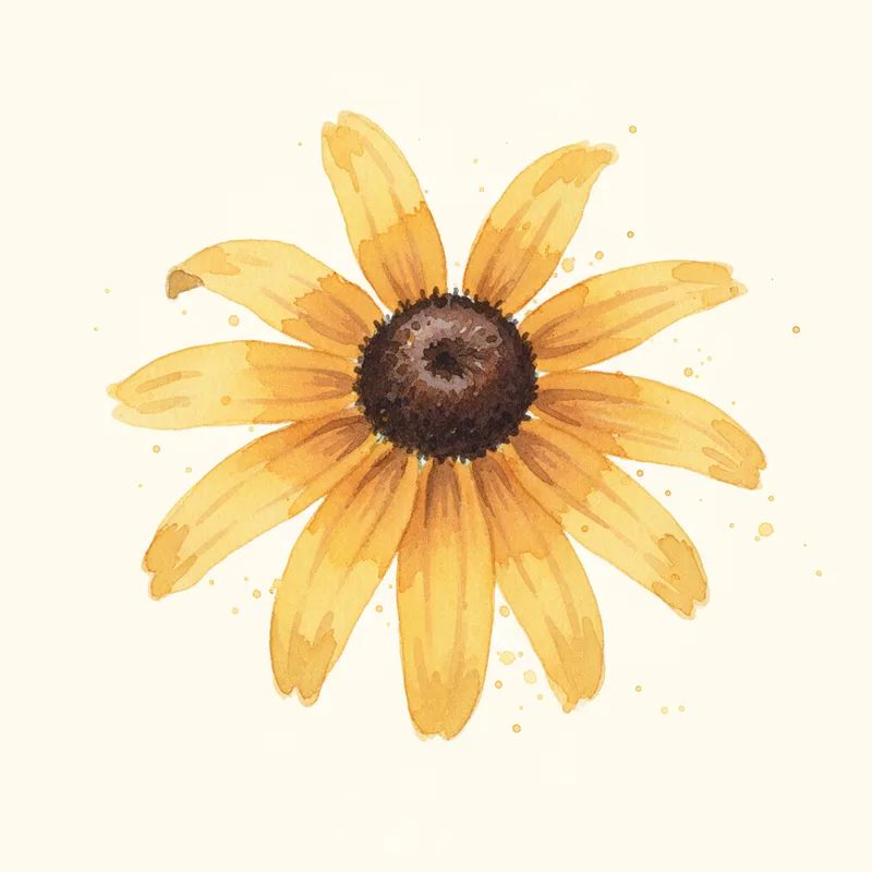 Goldsturm Black-Eyed Susan